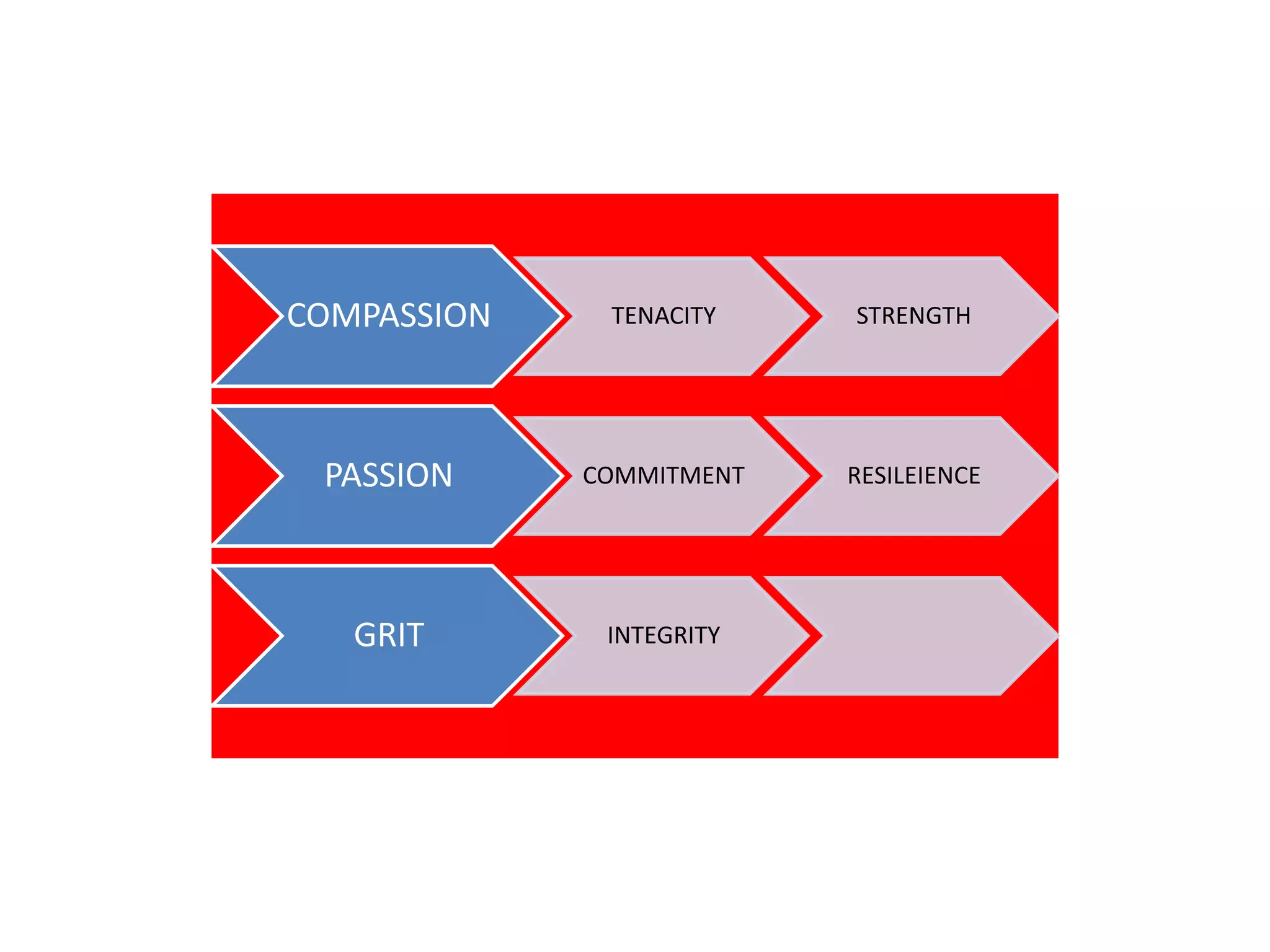 COMPASSION
TENACITY
STRENGTH
PASSION
COMMITMENT
RESILEIENCE
GRIT
INTEGRITY
