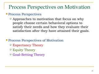 25
Process Perspectives on Motivation
 Process Perspectives
 Approaches to motivation that focus on why
people choose certain behavioral options to
satisfy their needs and how they evaluate their
satisfaction after they have attained their goals.
 Process Perspectives of Motivation
 Expectancy Theory
 Equity Theory
 Goal-Setting Theory
 