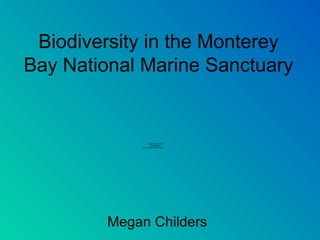 Biodiversity in the Monterey
Bay National Marine Sanctuary


                    QuickTime™ and a
                      decompressor
            are needed to see this picture.




        Megan Childers
 