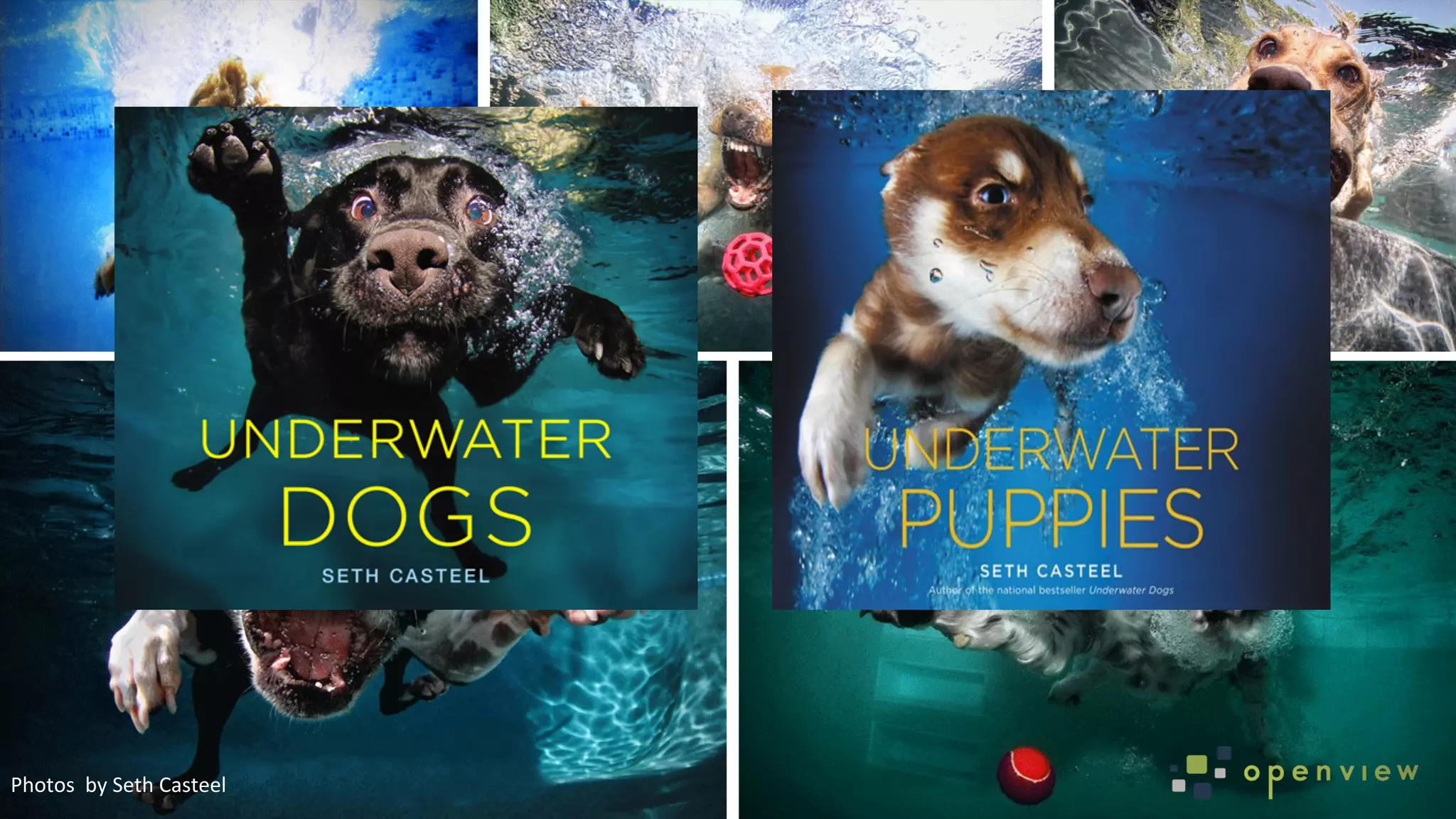 @kyleplacyPhotos	
  	
  by	
  Seth	
  Casteel	
  
 