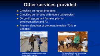 Reproductive options for a more efficient system delivery of improved genetics from the communities to the communities