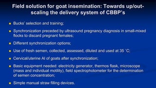 Reproductive options for a more efficient system delivery of improved genetics from the communities to the communities