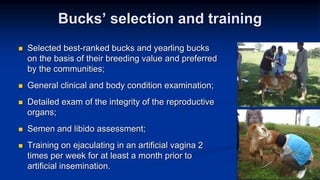 Reproductive options for a more efficient system delivery of improved genetics from the communities to the communities