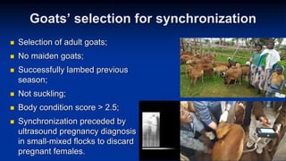 Reproductive options for a more efficient system delivery of improved genetics from the communities to the communities