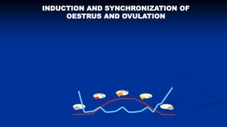 Reproductive options for a more efficient system delivery of improved genetics from the communities to the communities