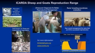 Reproductive options for a more efficient system delivery of improved genetics from the communities to the communities