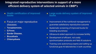 Reproductive options for a more efficient system delivery of improved genetics from the communities to the communities
