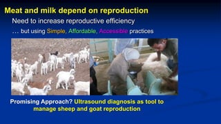 Reproductive options for a more efficient system delivery of improved genetics from the communities to the communities