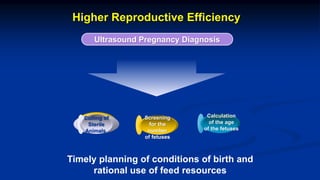 Reproductive options for a more efficient system delivery of improved genetics from the communities to the communities