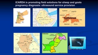 Reproductive options for a more efficient system delivery of improved genetics from the communities to the communities