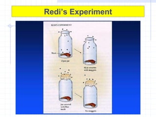 Code Red Experiments Mbp 01 history microbiology | PPT