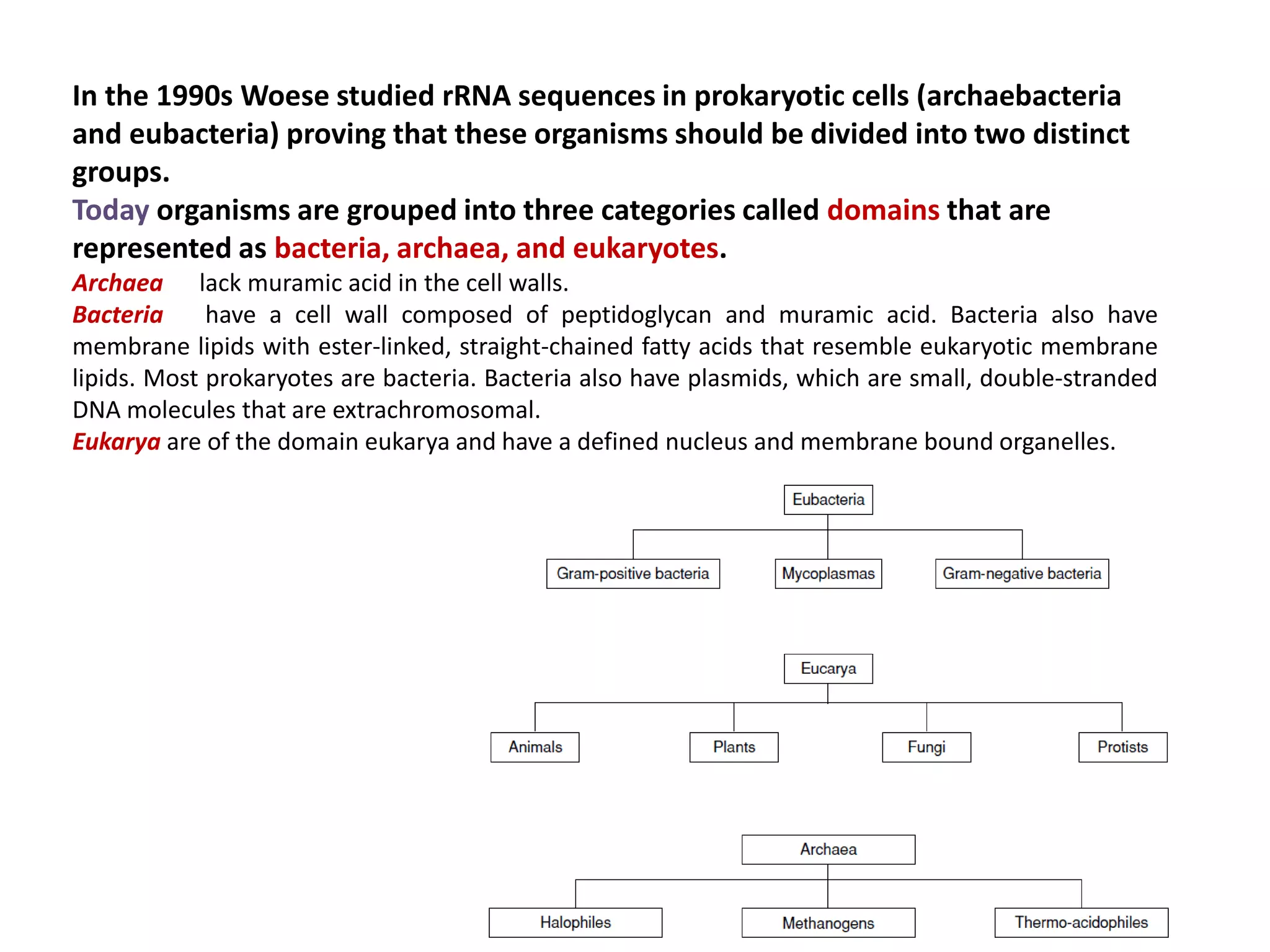 In the 1990s Woese studied rRNA sequences in prokaryotic cells (archaebacteria
and eubacteria) proving that these organisms should be divided into two distinct
groups.
Today organisms are grouped into three categories called domains that are
represented as bacteria, archaea, and eukaryotes.
Archaea lack muramic acid in the cell walls.
Bacteria have a cell wall composed of peptidoglycan and muramic acid. Bacteria also have
membrane lipids with ester-linked, straight-chained fatty acids that resemble eukaryotic membrane
lipids. Most prokaryotes are bacteria. Bacteria also have plasmids, which are small, double-stranded
DNA molecules that are extrachromosomal.
Eukarya are of the domain eukarya and have a defined nucleus and membrane bound organelles.
 