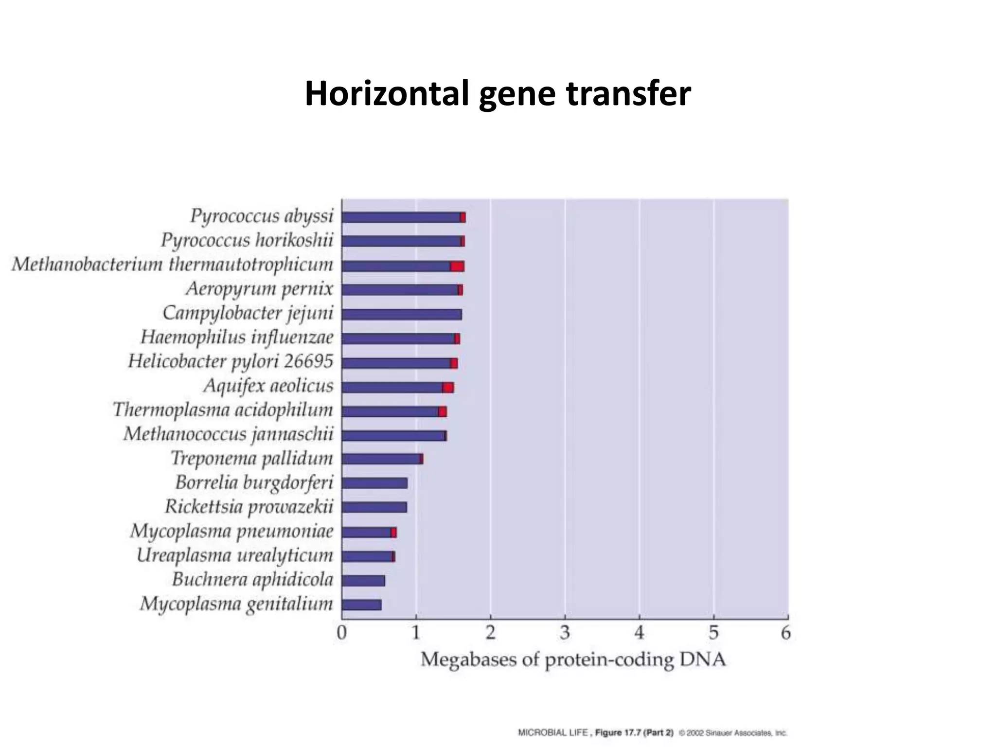 Horizontal gene transfer
 