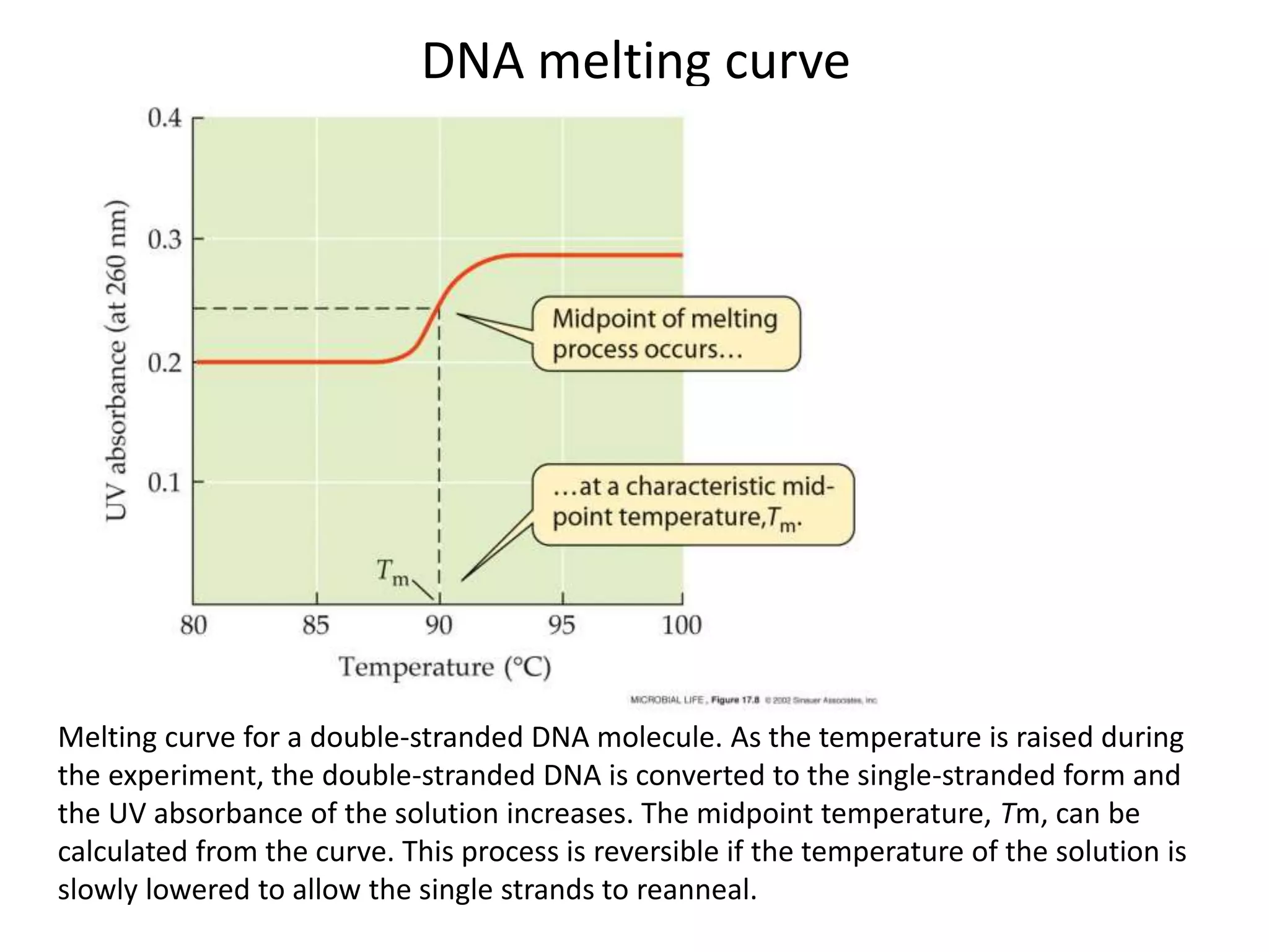 DNA melting curve
Melting curve for a double-stranded DNA molecule. As the temperature is raised during
the experiment, the double-stranded DNA is converted to the single-stranded form and
the UV absorbance of the solution increases. The midpoint temperature, Tm, can be
calculated from the curve. This process is reversible if the temperature of the solution is
slowly lowered to allow the single strands to reanneal.
 