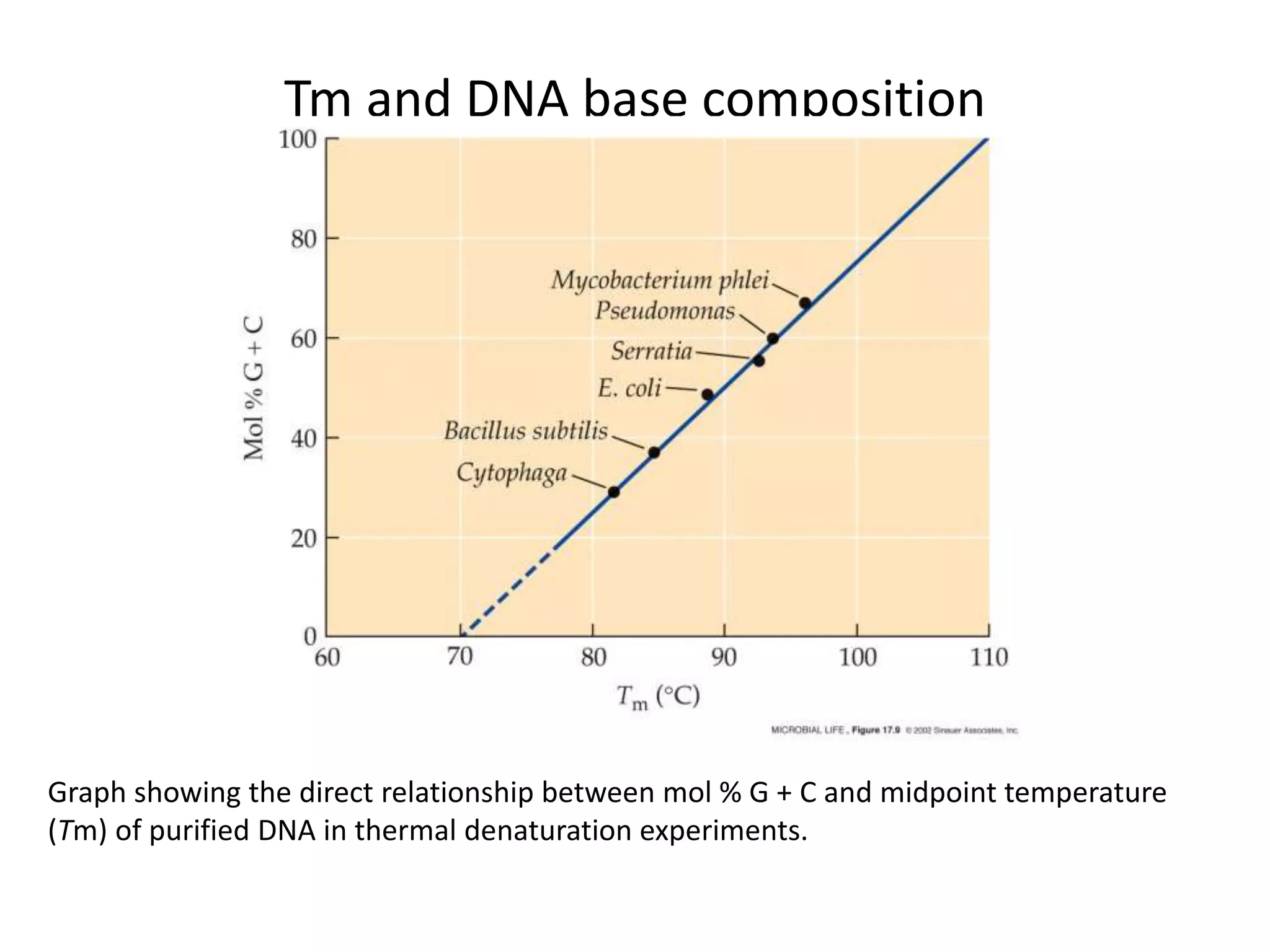 Tm and DNA base composition
Graph showing the direct relationship between mol % G + C and midpoint temperature
(Tm) of purified DNA in thermal denaturation experiments.
 