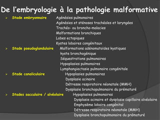 De l’embryologie à la pathologie malformative
 Stade embryonnaire Agénésies pulmonaires
Agénésies et sténoses trachéales et laryngées
Trachéo- ou broncho-malacies
Malformations bronchiques
Lobes ectopiques
Kystes lobaires congénitaux
 Stade pseudoglandulaire Malformations adénomatoïdes kystiques
kyste bronchogénique
Séquestrations pulmonaires
Hypoplasies pulmonaires
Lymphangiectasie pulmonaire congénitale
 Stade canaliculaire Hypoplasies pulmonaires
Dysplasie acinaire
Détresse respiratoire néonatale (MMH)
Dysplasie bronchopulmonaire du prématuré
 Stades sacculaire / alvéolaire Hypoplasies pulmonaires
Dysplasie acinaire et dysplasie capillaire alvéolaire
Emphysème lobaire congénital
Détresse respiratoire néonatale (MMH)
Dysplasie bronchopulmonaire du prématuré
 