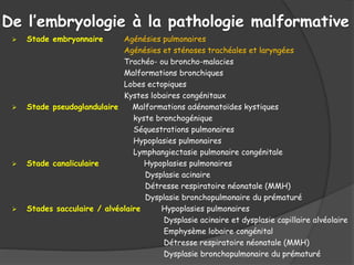 De l’embryologie à la pathologie malformative
 Stade embryonnaire Agénésies pulmonaires
Agénésies et sténoses trachéales et laryngées
Trachéo- ou broncho-malacies
Malformations bronchiques
Lobes ectopiques
Kystes lobaires congénitaux
 Stade pseudoglandulaire Malformations adénomatoïdes kystiques
kyste bronchogénique
Séquestrations pulmonaires
Hypoplasies pulmonaires
Lymphangiectasie pulmonaire congénitale
 Stade canaliculaire Hypoplasies pulmonaires
Dysplasie acinaire
Détresse respiratoire néonatale (MMH)
Dysplasie bronchopulmonaire du prématuré
 Stades sacculaire / alvéolaire Hypoplasies pulmonaires
Dysplasie acinaire et dysplasie capillaire alvéolaire
Emphysème lobaire congénital
Détresse respiratoire néonatale (MMH)
Dysplasie bronchopulmonaire du prématuré
 