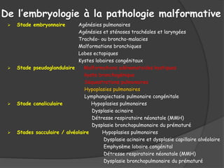De l’embryologie à la pathologie malformative
 Stade embryonnaire Agénésies pulmonaires
Agénésies et sténoses trachéales et laryngées
Trachéo- ou broncho-malacies
Malformations bronchiques
Lobes ectopiques
Kystes lobaires congénitaux
 Stade pseudoglandulaire Malformations adénomatoïdes kystiques
kyste bronchogénique
Séquestrations pulmonaires
Hypoplasies pulmonaires
Lymphangiectasie pulmonaire congénitale
 Stade canaliculaire Hypoplasies pulmonaires
Dysplasie acinaire
Détresse respiratoire néonatale (MMH)
Dysplasie bronchopulmonaire du prématuré
 Stades sacculaire / alvéolaire Hypoplasies pulmonaires
Dysplasie acinaire et dysplasie capillaire alvéolaire
Emphysème lobaire congénital
Détresse respiratoire néonatale (MMH)
Dysplasie bronchopulmonaire du prématuré
 