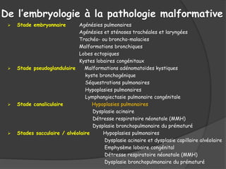 De l’embryologie à la pathologie malformative
 Stade embryonnaire Agénésies pulmonaires
Agénésies et sténoses trachéales et laryngées
Trachéo- ou broncho-malacies
Malformations bronchiques
Lobes ectopiques
Kystes lobaires congénitaux
 Stade pseudoglandulaire Malformations adénomatoïdes kystiques
kyste bronchogénique
Séquestrations pulmonaires
Hypoplasies pulmonaires
Lymphangiectasie pulmonaire congénitale
 Stade canaliculaire Hypoplasies pulmonaires
Dysplasie acinaire
Détresse respiratoire néonatale (MMH)
Dysplasie bronchopulmonaire du prématuré
 Stades sacculaire / alvéolaire Hypoplasies pulmonaires
Dysplasie acinaire et dysplasie capillaire alvéolaire
Emphysème lobaire congénital
Détresse respiratoire néonatale (MMH)
Dysplasie bronchopulmonaire du prématuré
 