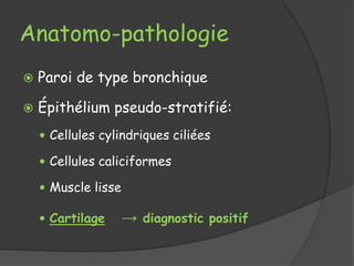 Anatomo-pathologie
 Paroi de type bronchique
 Épithélium pseudo-stratifié:
 Cellules cylindriques ciliées
 Cellules caliciformes
 Muscle lisse
 Cartilage → diagnostic positif
 