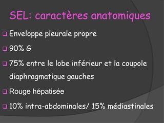 SEL: caractères anatomiques
 Enveloppe pleurale propre
 90% G
 75% entre le lobe inférieur et la coupole
diaphragmatique gauches
 Rouge hépatisée
 10% intra-abdominales/ 15% médiastinales
 