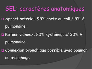 SEL: caractères anatomiques
 Apport artériel: 95% aorte ou coll./ 5% A
pulmonaire
 Retour veineux: 80% systémique/ 20% V
pulmonaire
 Connexion bronchique possible avec poumon
ou œsophage
 