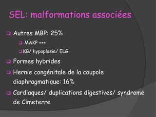 SEL: malformations associées
 Autres MBP: 25%
 MAKP +++
 KB/ hypoplasie/ ELG
 Formes hybrides
 Hernie congénitale de la coupole
diaphragmatique: 16%
 Cardiaques/ duplications digestives/ syndrome
de Cimeterre
 
