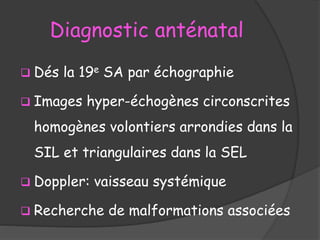 Diagnostic anténatal
 Dés la 19e SA par échographie
 Images hyper-échogènes circonscrites
homogènes volontiers arrondies dans la
SIL et triangulaires dans la SEL
 Doppler: vaisseau systémique
 Recherche de malformations associées
 