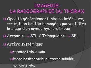 IMAGERIE:
LA RADIOGRAPHIE DU THORAX
 Opacité généralement lobaire inférieure,
+++ G, bien limitée homogène pouvant être
le siège d’un niveau hydro-aérique
 Arrondie → SIL / Triangulaire → SEL
 Artère systémique:
rarement visualisée.
image basithoracique interne tubulée,
homolatérale.
 