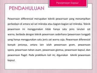 Pewarnaan Kapsul

PENDAHULUAN
Pewarnaan differensial merupakan teknik pewarnaan yang menampilkan
perbedaan di antara sel-sel mikroba atau bagian-bagian sel mikroba. Teknik
pewarnaan ini menggunakan tidak hanya satu jenis larutan zat
warna, berbeda dengan teknik pewarnaan sederhana (pewarnaan tunggal)
yang hanya menggunakan satu jenis zat warna saja. Pewarnaan diferensial
banyak jenisnya, antara lain ialah pewarnaan gram, pewarnaan
spora, pewarnaan tahan asam, pewarnaan giemsa, pewarnaan kapsul, dan
pewarnaan flagel. Pada praktikum kali ini, digunakan teknik pewarnaan
kapsul.

 