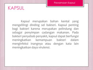 Pewarnaan Kapsul

KAPSUL
Kapsul merupakan bahan kental yang
mengelilingi dinding sel bakteri. Kapsul penting
bagi bakteri karena merupakan pelindung dan
sebagai penyimpan cadangan makanan. Pada
bakteri penyebab penyakit, kapsul dapat berfungsi
meningkatkan
kemampuan
bakteri
dalam
menginfeksi inangnya atau dengan kata lain
meningkatkan daya virulensi.

 