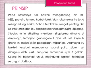 Pewarnaan Kapsul

PRINSIP
Pada

umumnya

sel

bakteri

mengandung

air

80–

85%, protein, lemak, karbohidrat, dan disamping itu juga
mengandung enzim. Bahan terakhir ini sangat penting. Sel
Bakteri terdiri dari sel, endoplasma/sitoplasma/protoplasma.

Sitoplasma ini dikelilingi membran sitoplasma dimana di
dalamnya terdapat granul–granul dan inti sel. Granul–
granul Ini merupakan persediaan makanan. Disamping itu
bakteri tersebut mempumyai kapsul yaitu seluruh sel
dibugkus oleh suatu substansi semacam slym / gelatin.
Kapsul ini berfungsi untuk melindungi bakteri terhadap
serangan dari luar.

 