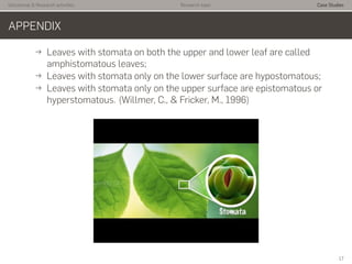 Istitutional & Research activities Research topic Case Studies
APPENDIX
→ Leaves with stomata on both the upper and lower leaf are called
amphistomatous leaves;
→ Leaves with stomata only on the lower surface are hypostomatous;
→ Leaves with stomata only on the upper surface are epistomatous or
hyperstomatous. (Willmer, C., & Fricker, M., 1996)
17
 