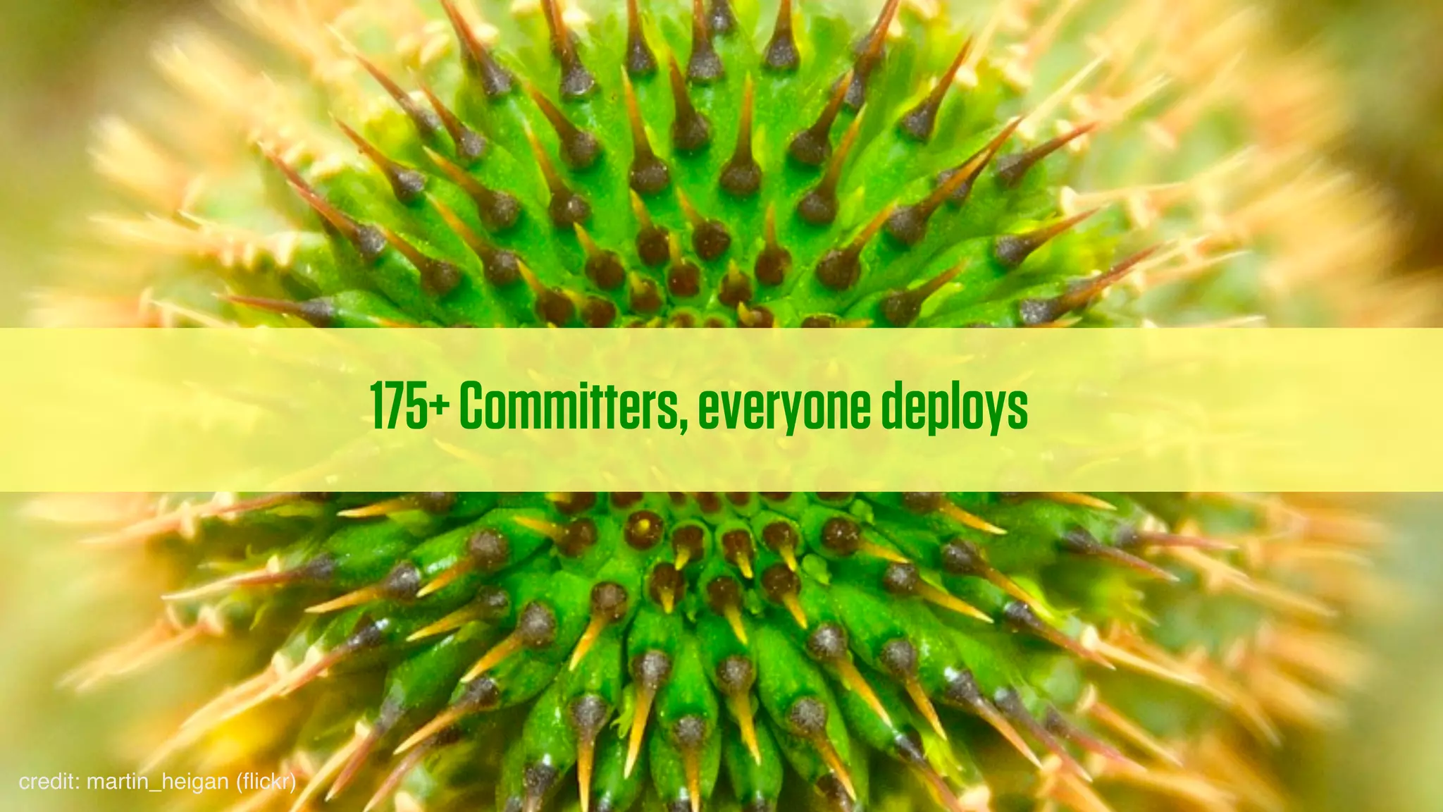 175+ Committers, everyone deploys




credit: martin_heigan (ﬂickr)
 