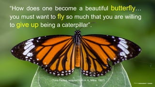 “How does one become a beautiful butterfly…
you must want to fly so much that you are willing
to give up being a caterpillar”.
Photo by Sonika Agarwal on Unsplash
(Trina Paulus, adapted from A. A. Milne, 1922).
 