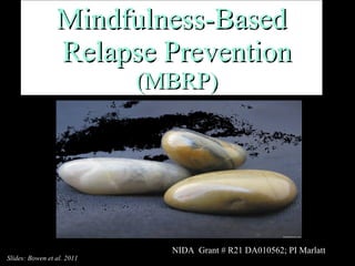 Mindfulness-Based Relapse Prevention  (MBRP) NIDA  Grant # R21 DA010562; PI Marlatt Slides: Bowen et al. 2011 