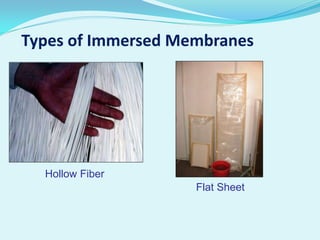 Types of Immersed Membranes

Hollow Fiber
Flat Sheet

 