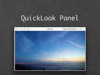 QuickLook Panel 
 