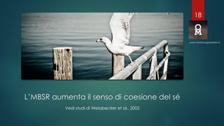 L’MBSR aumenta il senso di coesione del sé
Vedi studi di Weissbecker et al., 2002
www.mindfulorganization.it
18
 