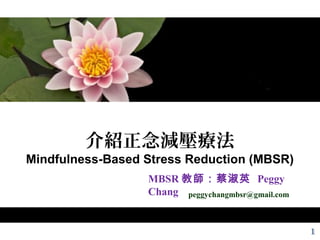 介紹正念減壓療法
Mindfulness-Based Stress Reduction (MBSR)
MBSR 教師：蔡淑英 Peggy
Chang peggychangmbsr@gmail.com
 