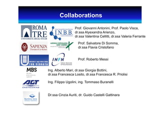 Prof. Giovanni Antonini, Prof. Paolo Visca,
dr.ssa Alyexandra Arienzo,
dr.ssa Valentina Cellitti, dr.ssa Valeria Ferrante
Prof. Salvatore Di Somma,
dr.ssa Flavia Cristofano
Ing. Alberto Mari, dr.ssa Giorgia Bottini,
dr.ssa Francesca Losito, dr.ssa Francesca R. Priolisi
Ing. Filippo Ugolini, ing. Tommaso Buranelli
Dr.ssa Cinzia Auriti, dr. Guido Castelli Gattinara
Collaborations
Prof. Roberto Messi
 