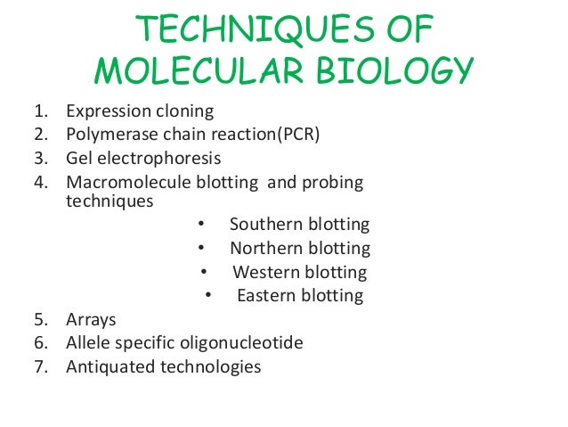 molecular biology techniques
