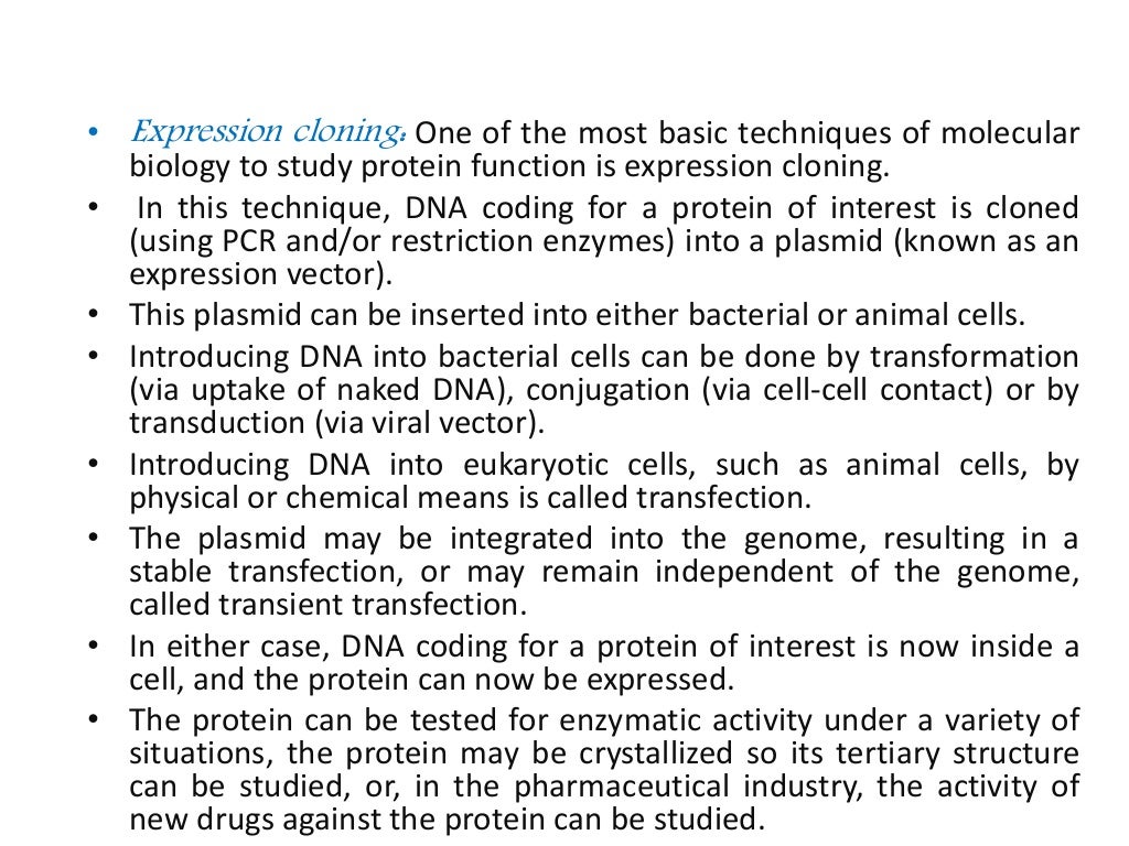 what are molecular biology techniques