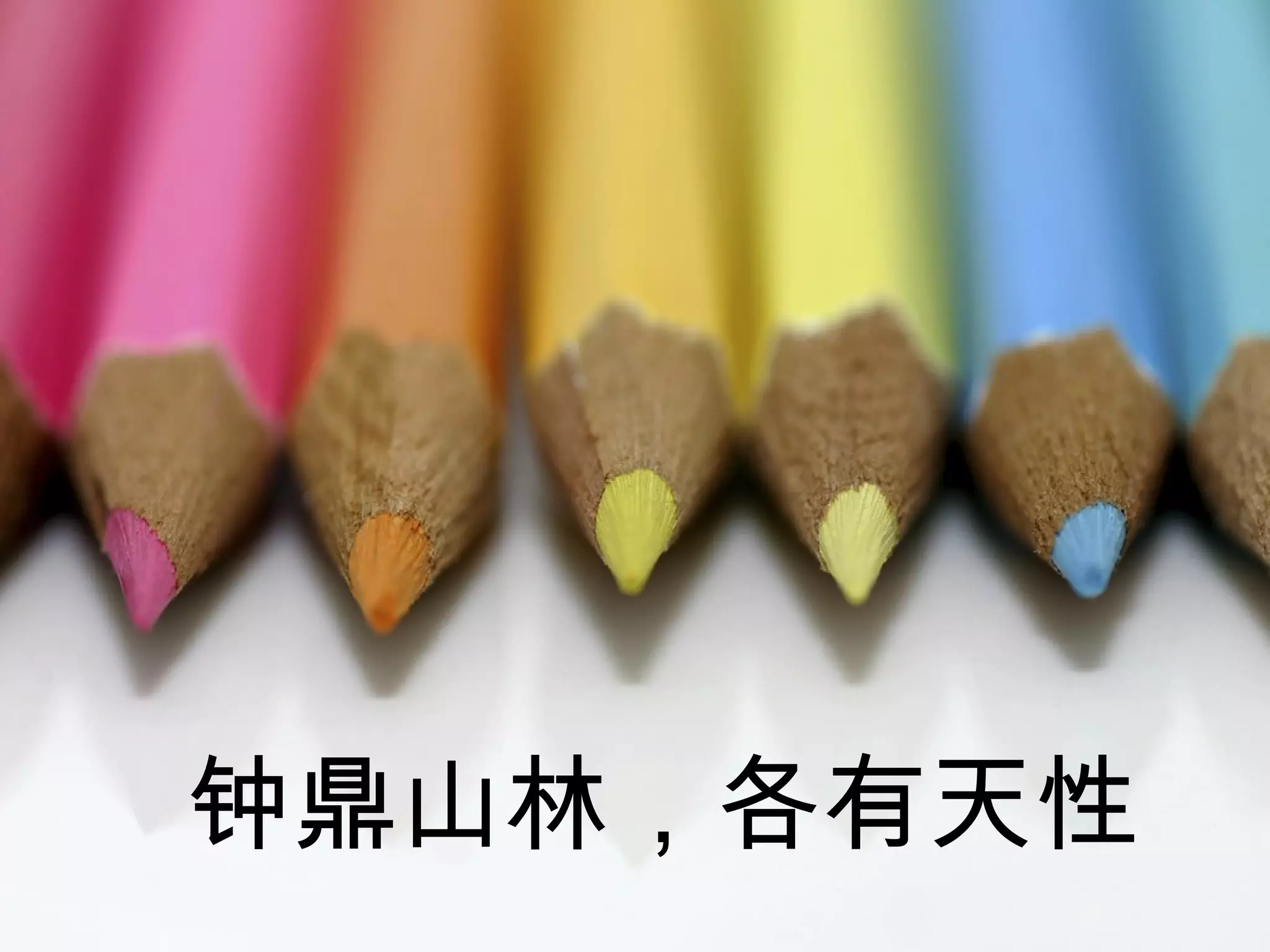 钟鼎山林，各有天性
34
 