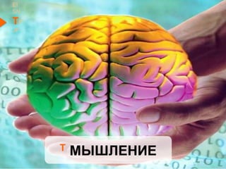 T МЫШЛЕНИЕ
EI
SN
TF
JP
 