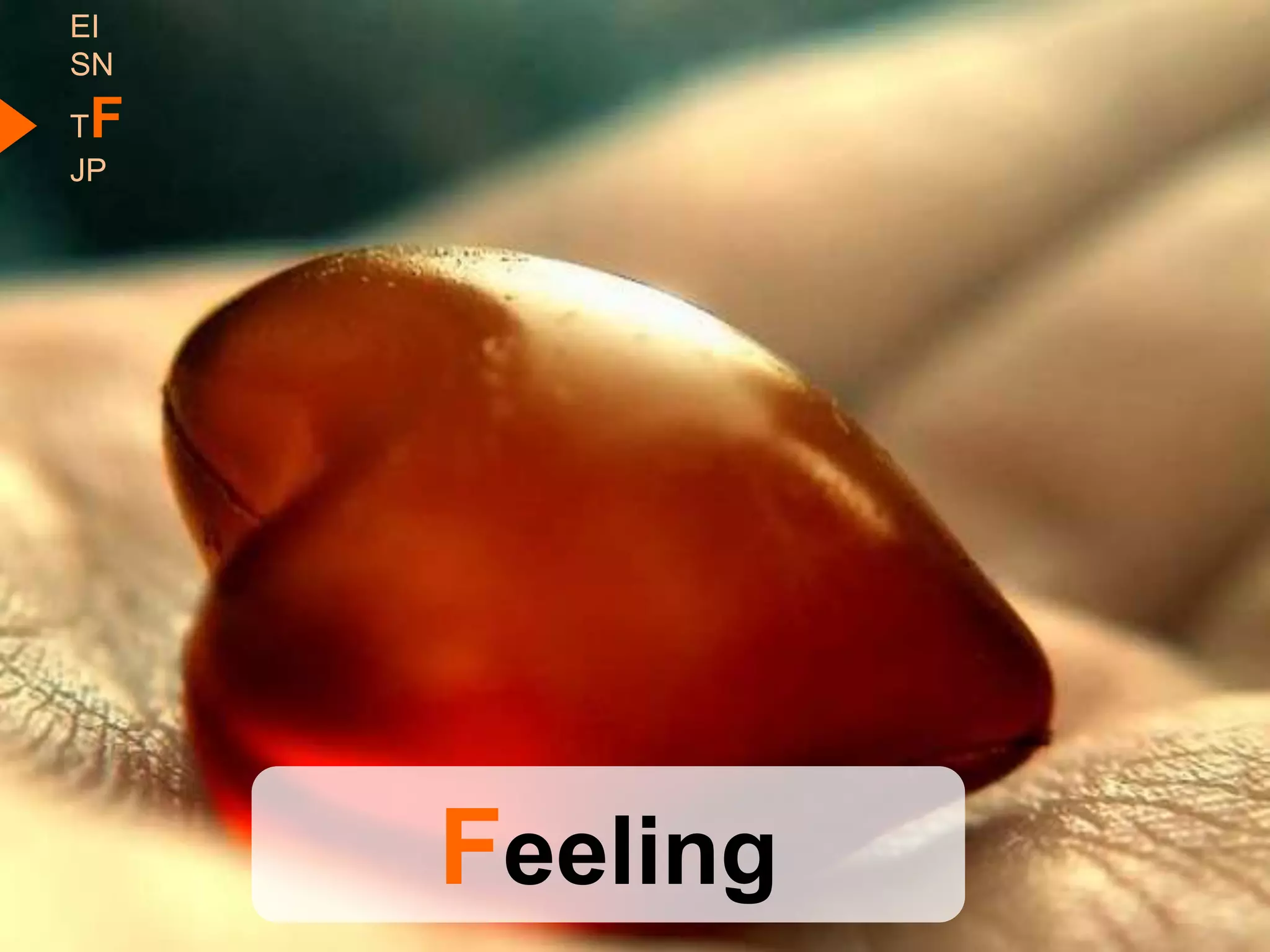 EI
SN
TF
JP




     Feeling
 