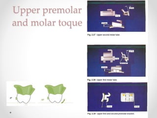 Upper premolar
and molar toque
 