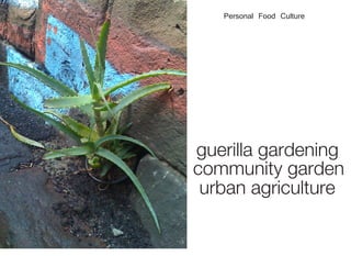 guerilla gardening
community garden
urban agriculture
Personal Food Culture
 