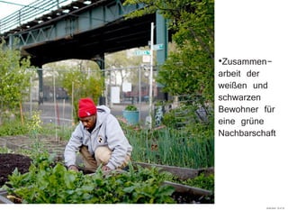·Zusammen-
arbeit der
weißen und
schwarzen
Bewohner für
eine grüne
Nachbarschaft
29.09.2010 22:47:32
 