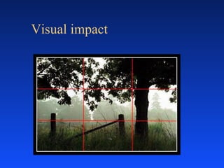 Visual impact 